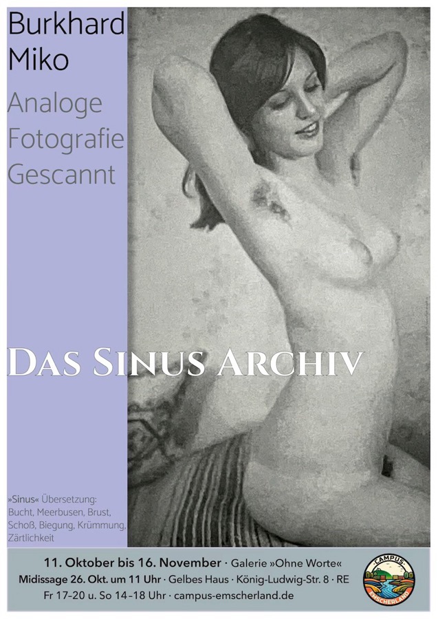 sinus-archiv-miko-25